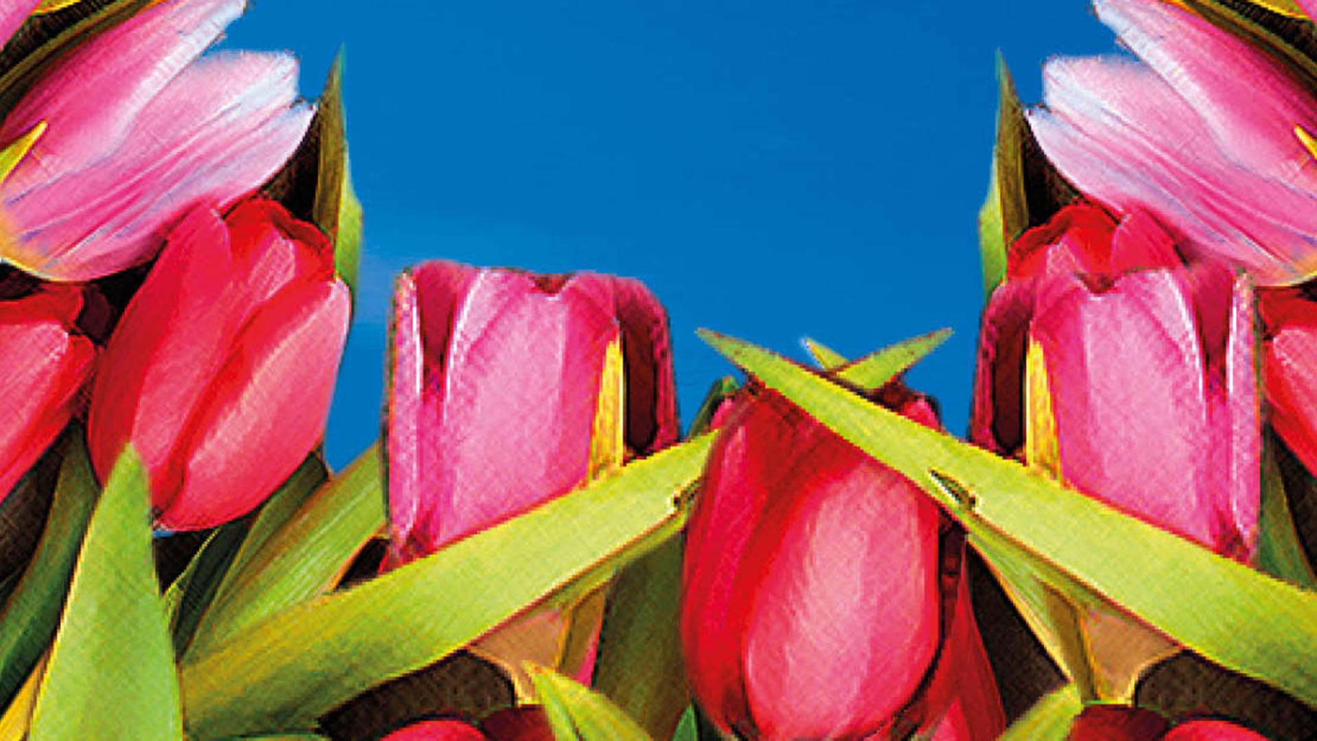  Gartenlust 2025 - MESSE RIED GmbH Motiv 